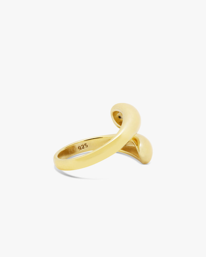 Golden Statement Duo Drop Ring